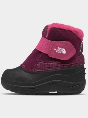 Alpenglow II Boysenberry/TNF Black Winter Boots (Kids)
