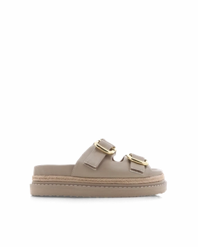 Shell Trim ALESSIA - STONE