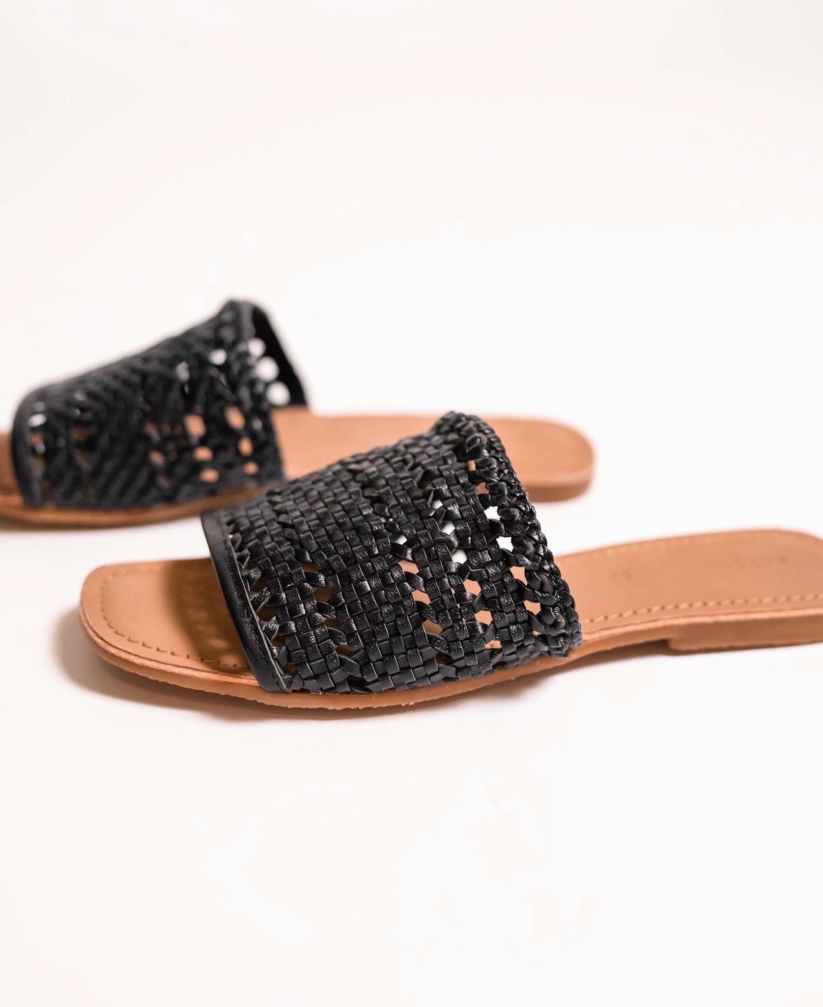 semi - outdoor Palm - Black