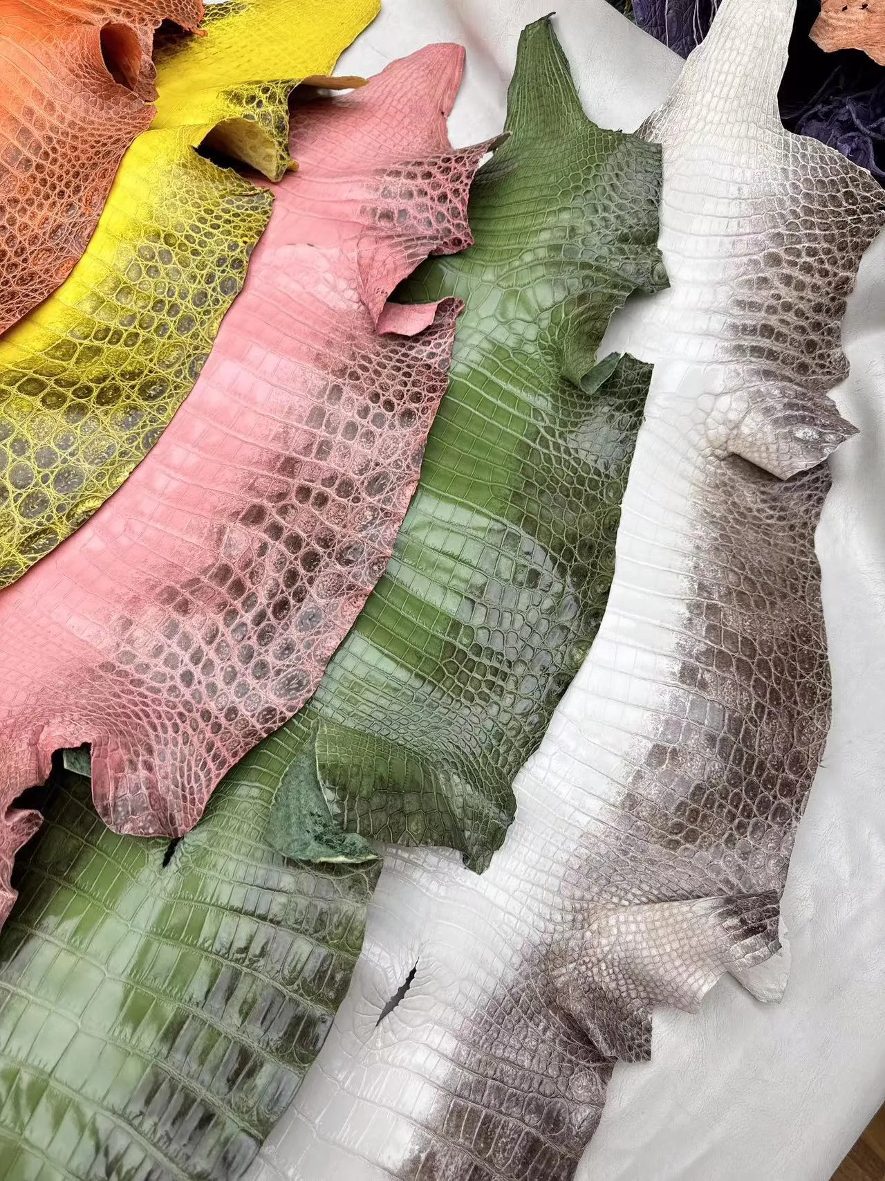 Colored Himalayan Skins