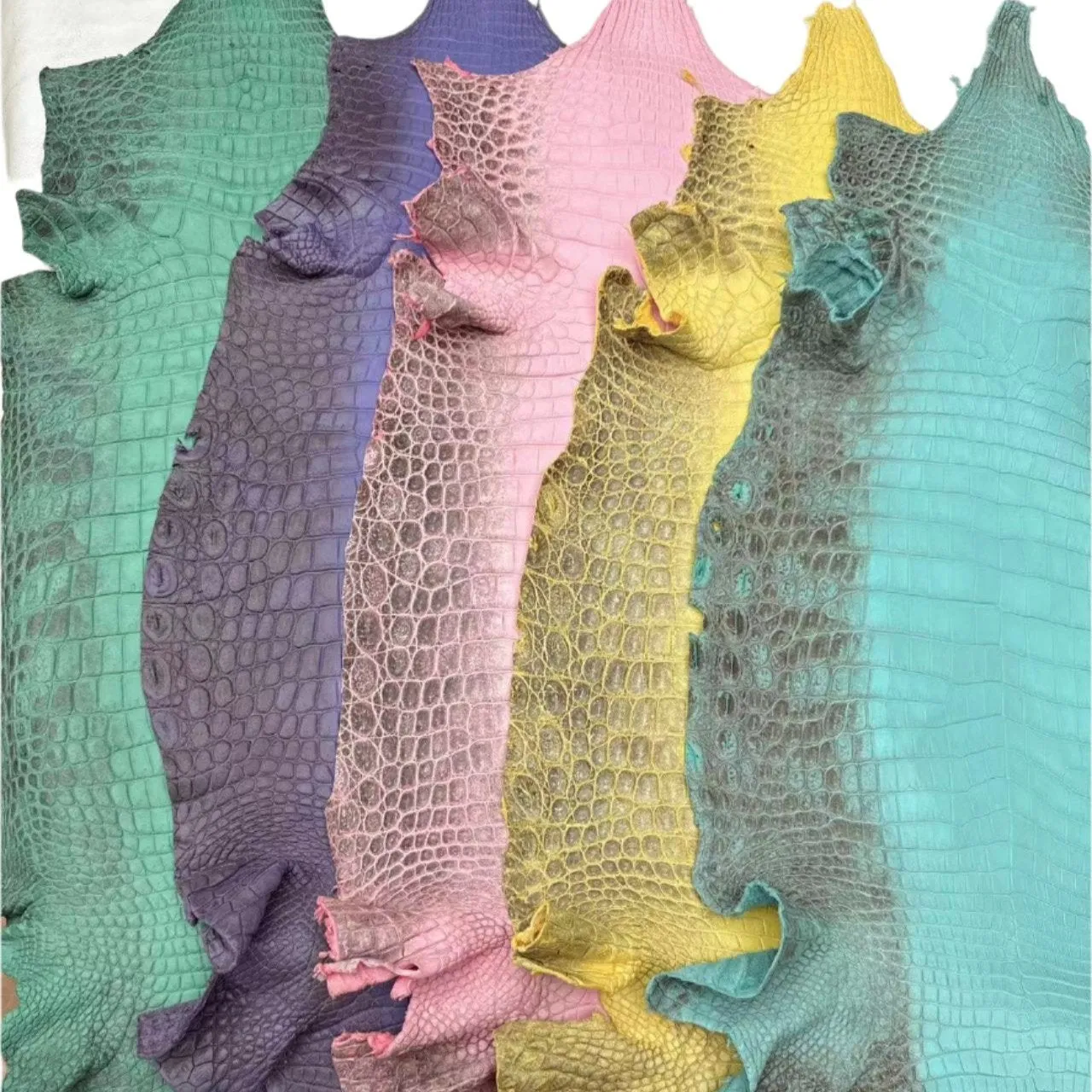 Colored Himalayan Skins
