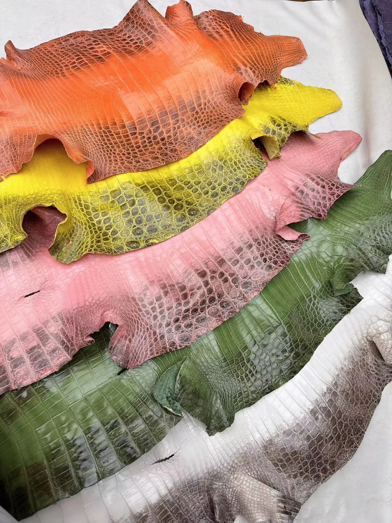 Colored Himalayan Skins