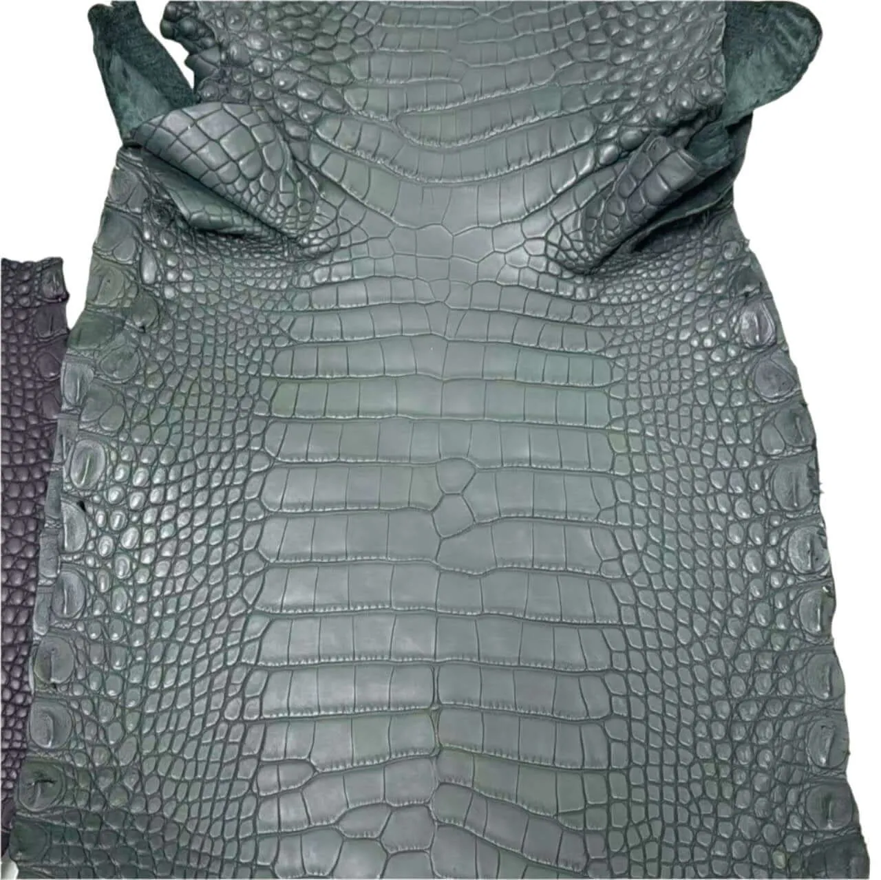 Colored Matte Gators