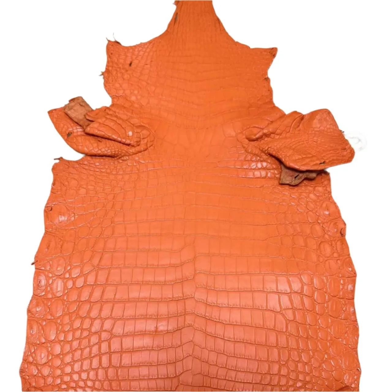 Colored Matte Gators
