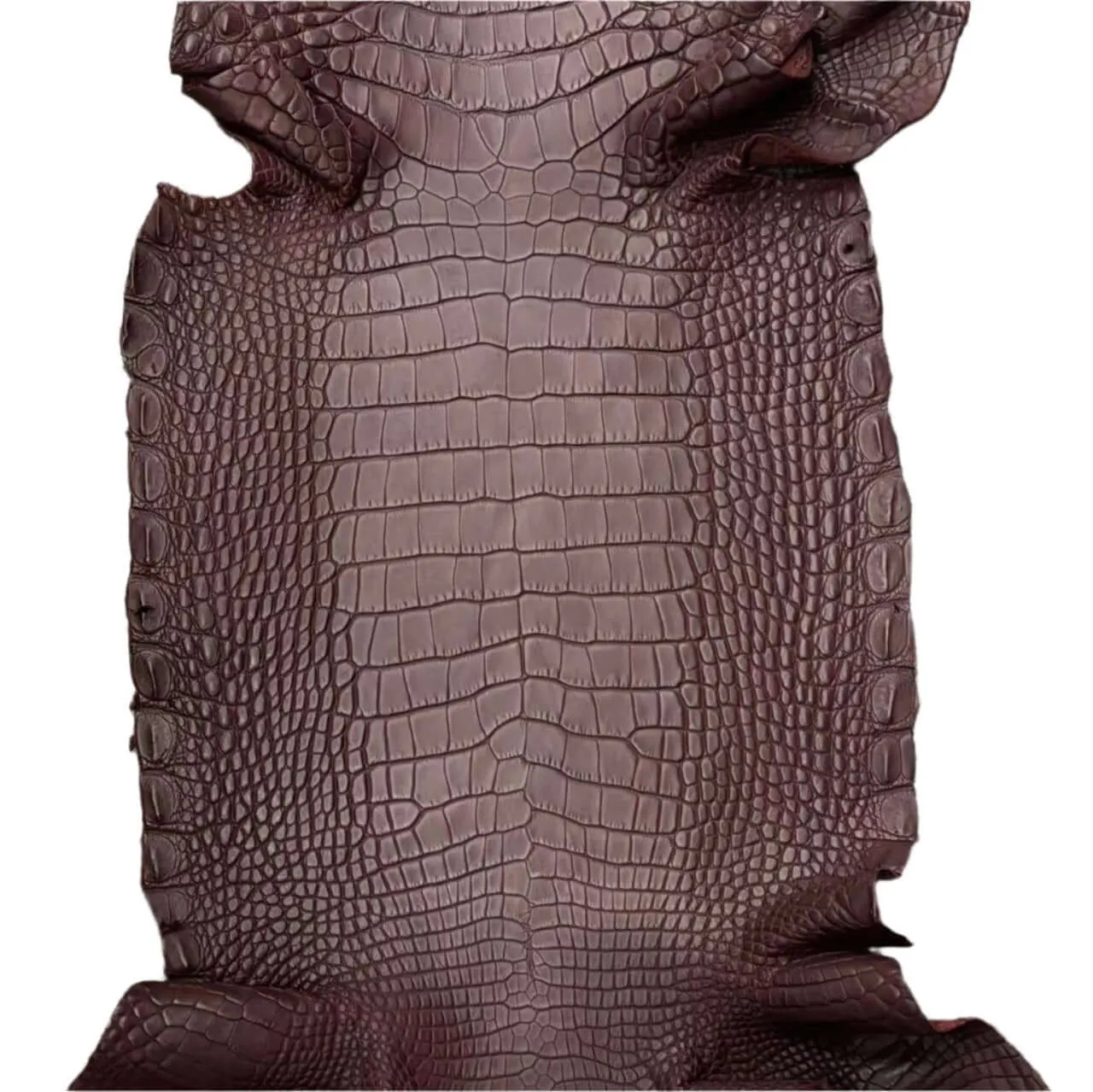 Colored Matte Gators