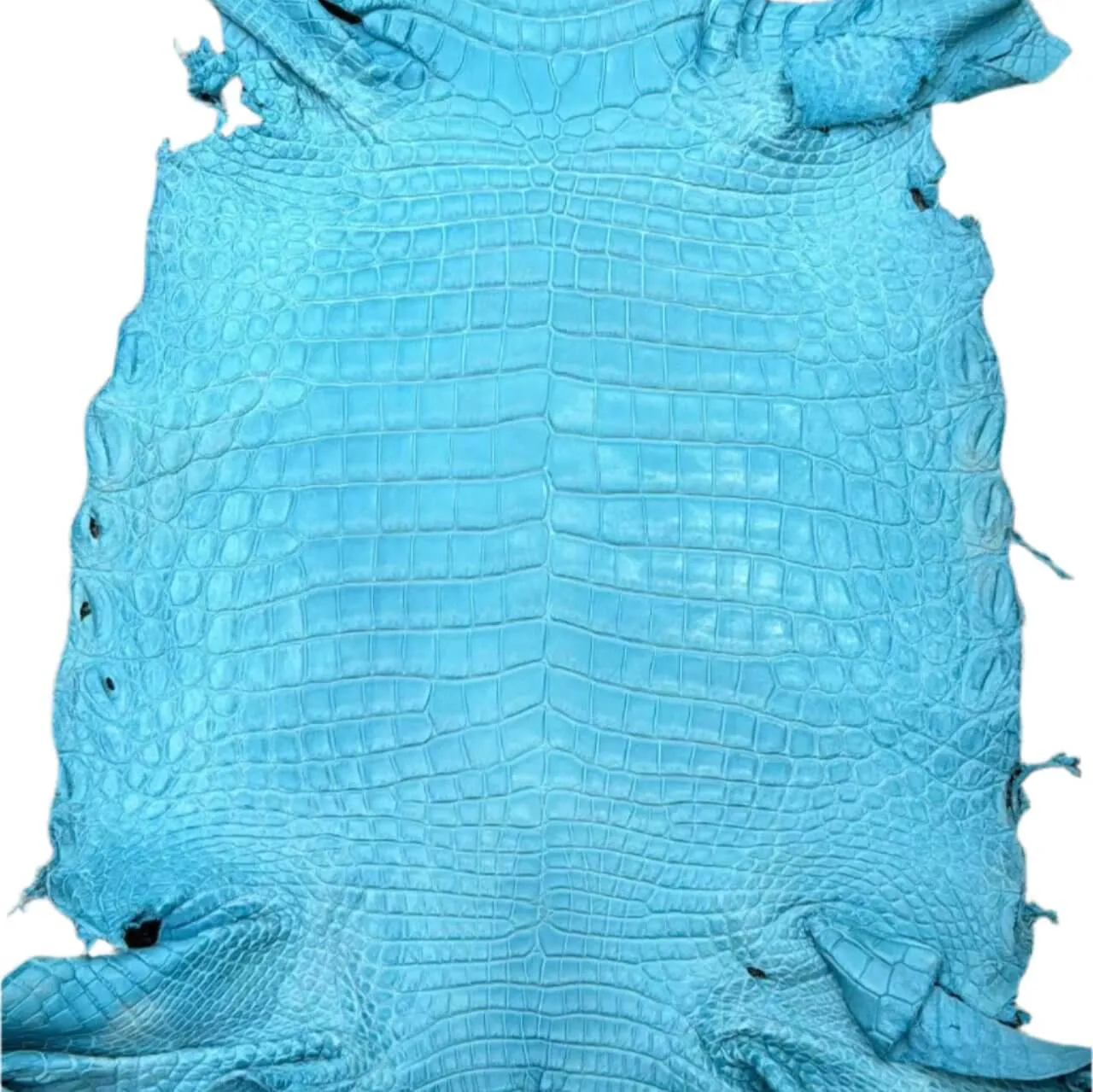 Colored Matte Gators