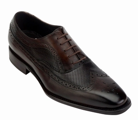 Creamy Toscana H165 Toscana H165 Comfortable Support