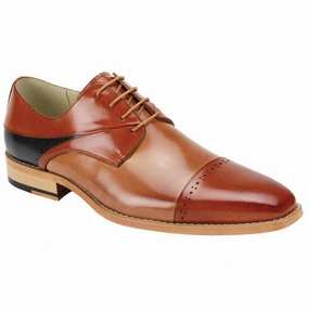 Deep-toned Giovanni Hudson 2E Giovanni Hudson 2E Daily Oxfords City Steps