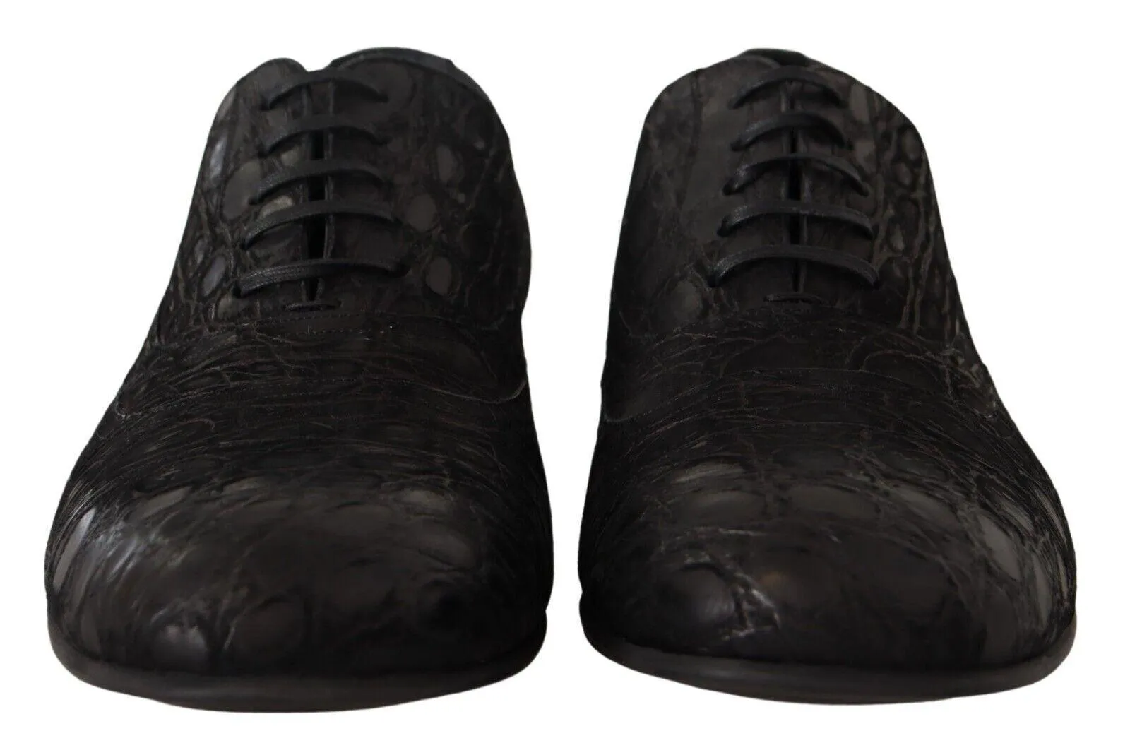 Dolce & Gabbana Elegant Exotic Leather Oxford Sko