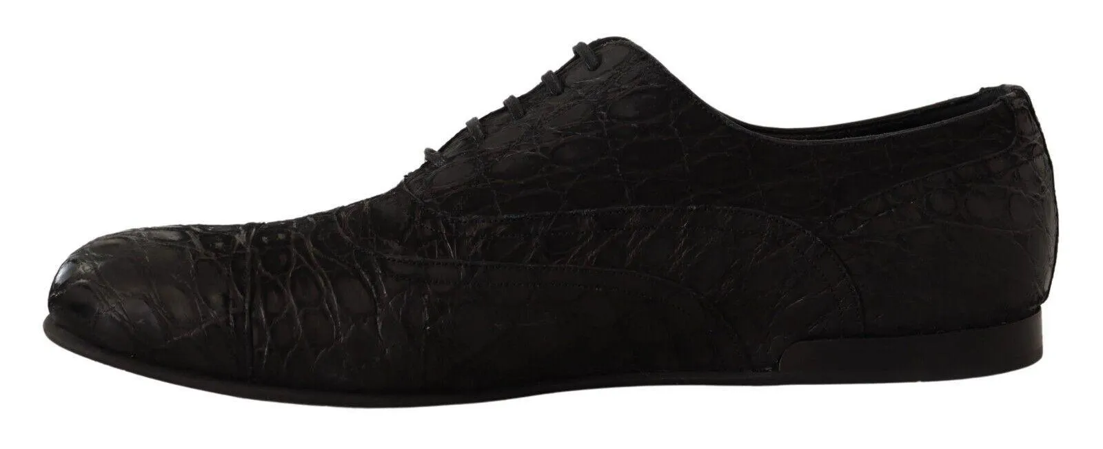 Dolce & Gabbana Elegant Exotic Leather Oxford Sko