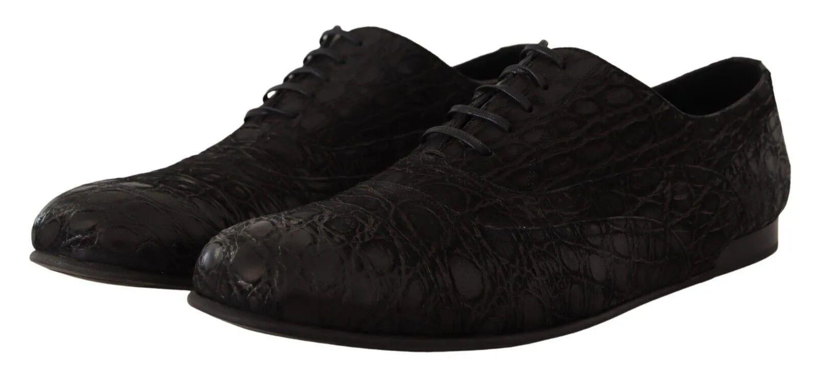 Dolce & Gabbana Elegant Exotic Leather Oxford Sko
