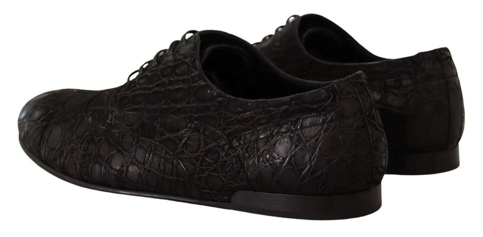 Dolce & Gabbana Elegant Exotic Leather Oxford Sko