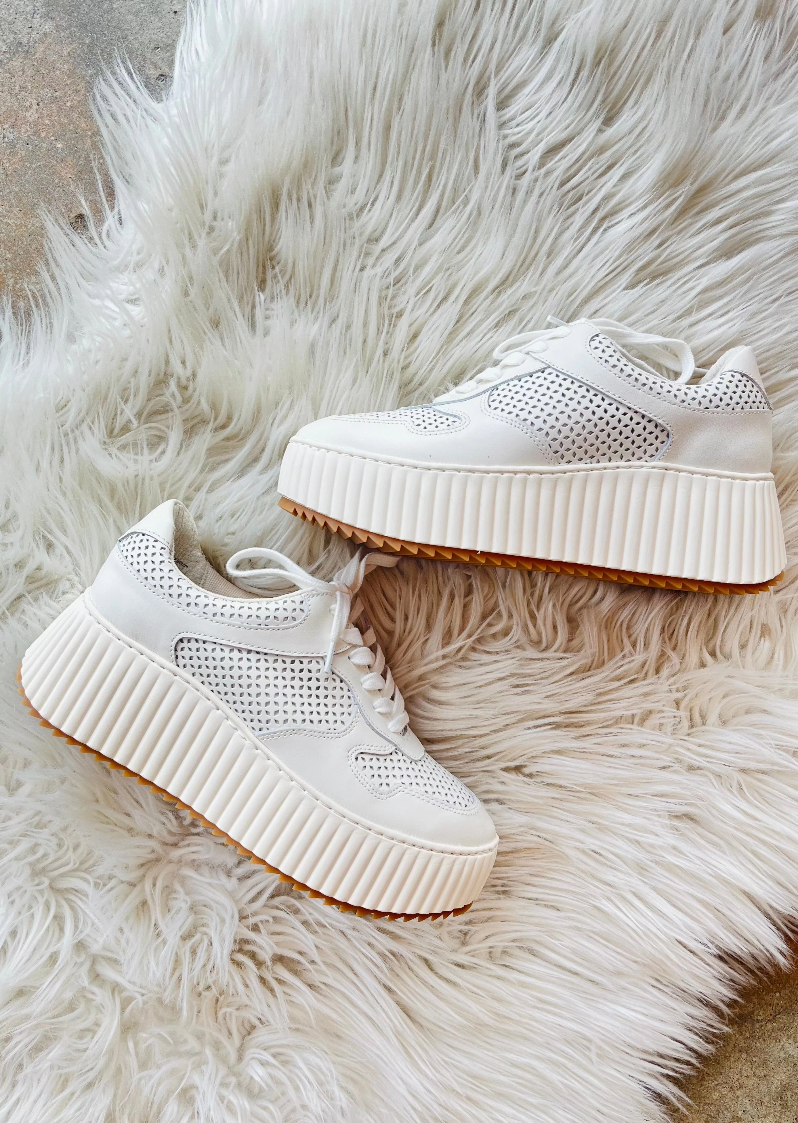 Flex Pattern Dolce Vita Daisha Sneaker