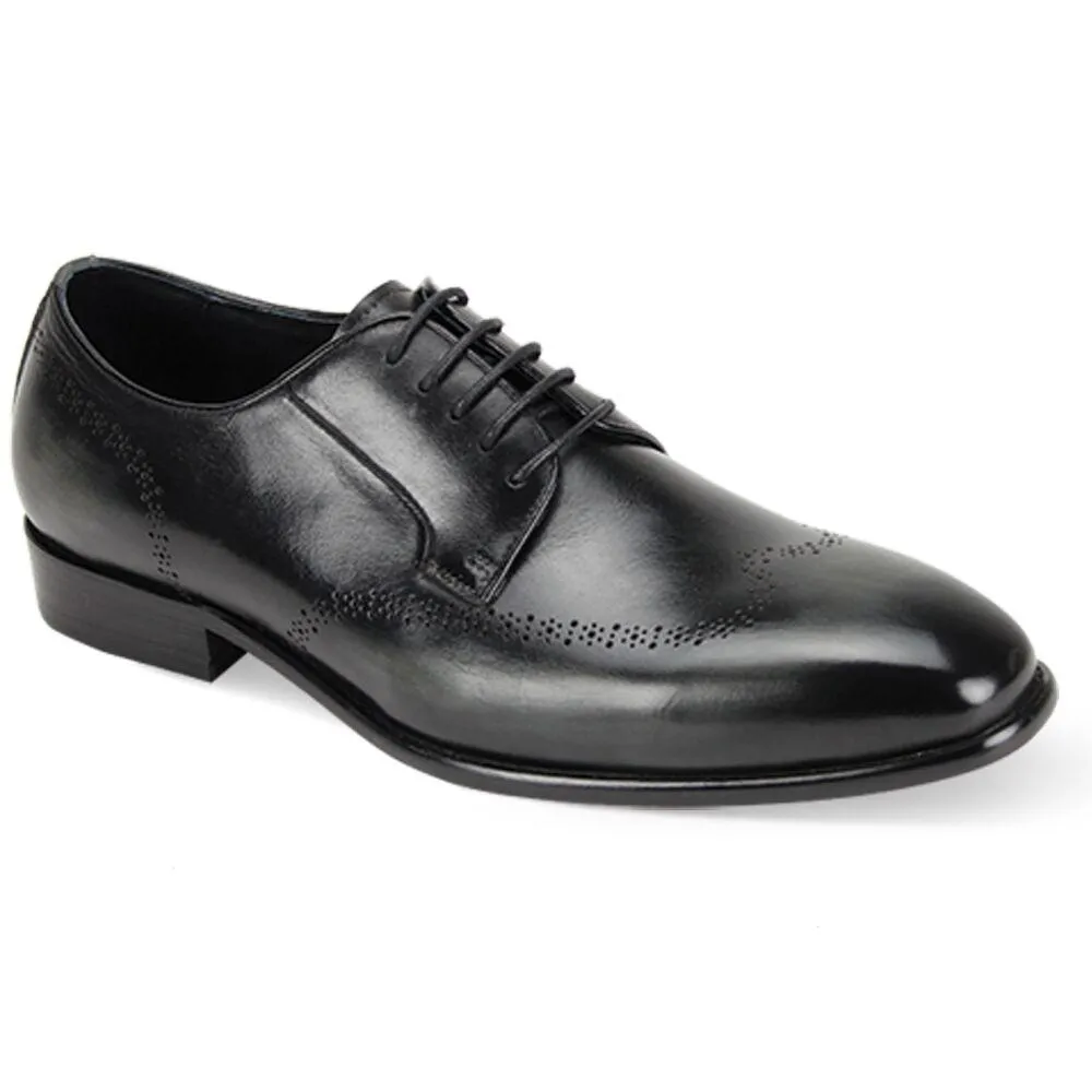 Clear Pace Reptile Print Giovanni Ivan