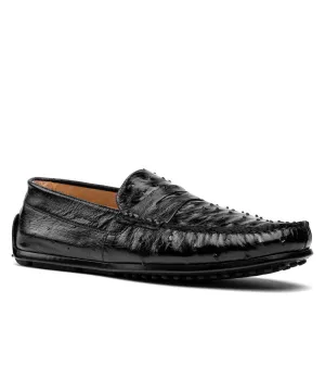 MONZA Ostrich Quill Driver On Move