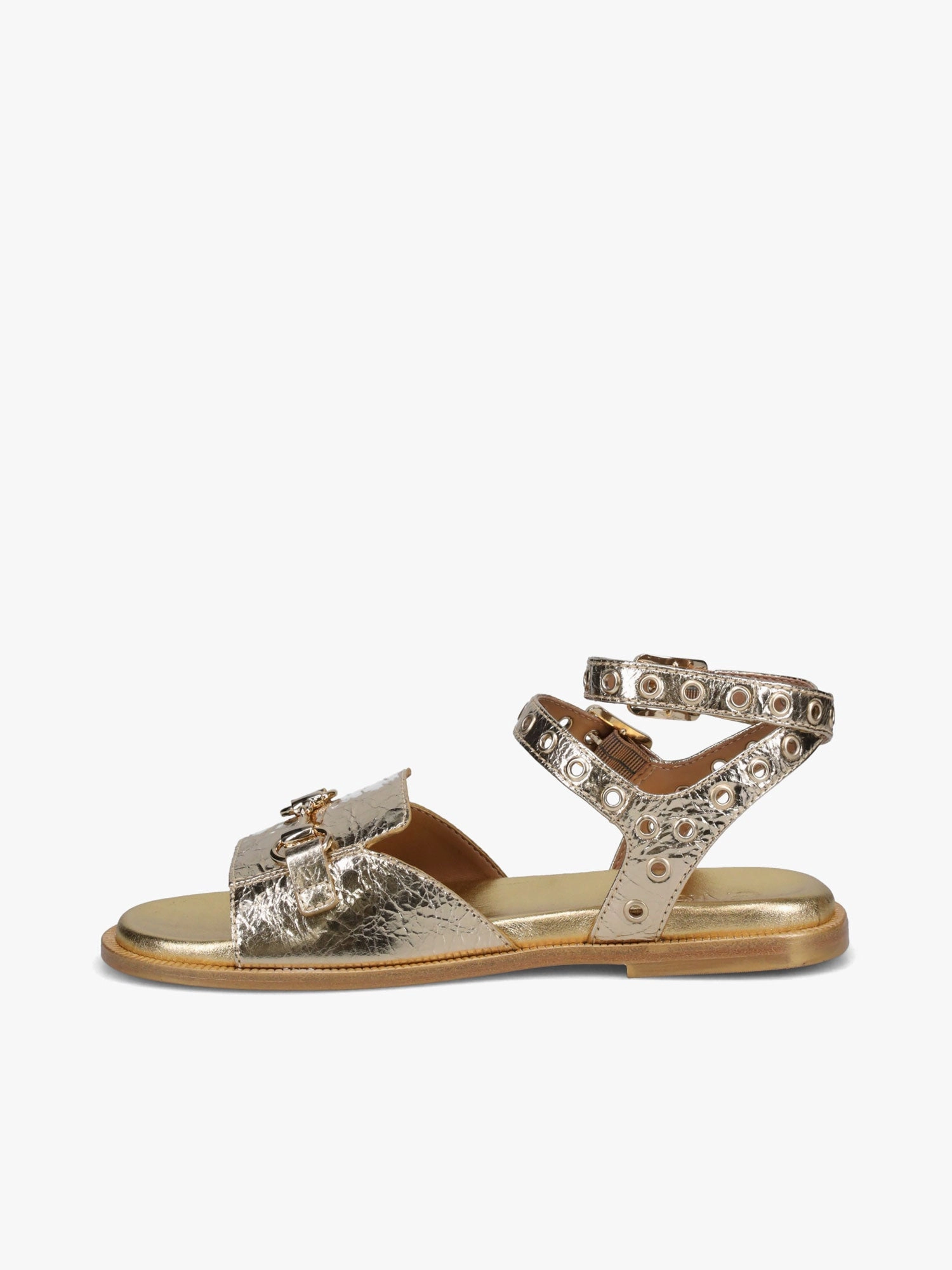 Dortmund Ouro Volga Adventure Time Fashionable And Functional