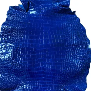 Glazed Shiny Porosus