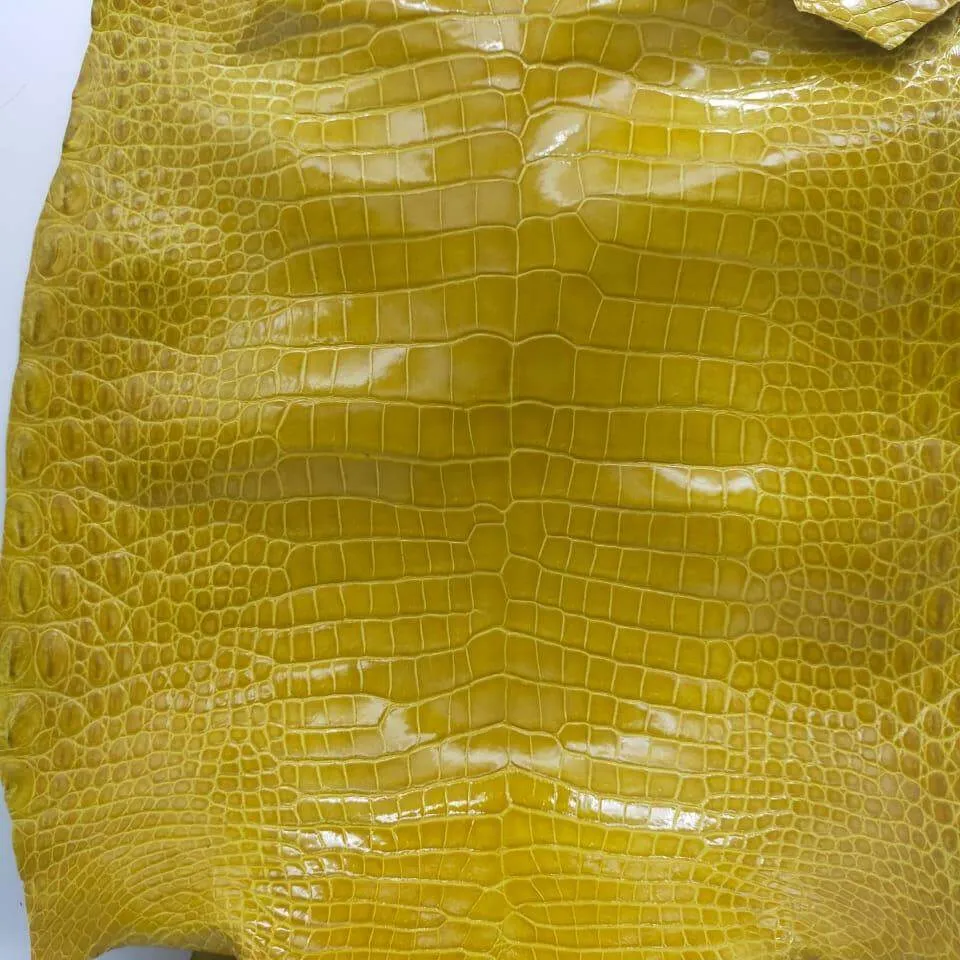 Glazed Shiny Porosus