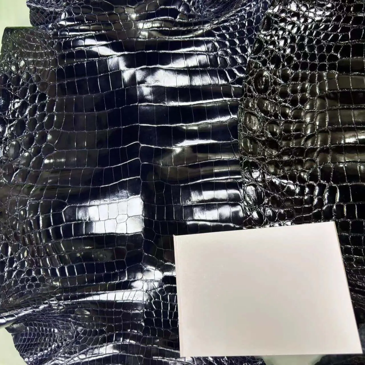 Glazed Shiny Porosus