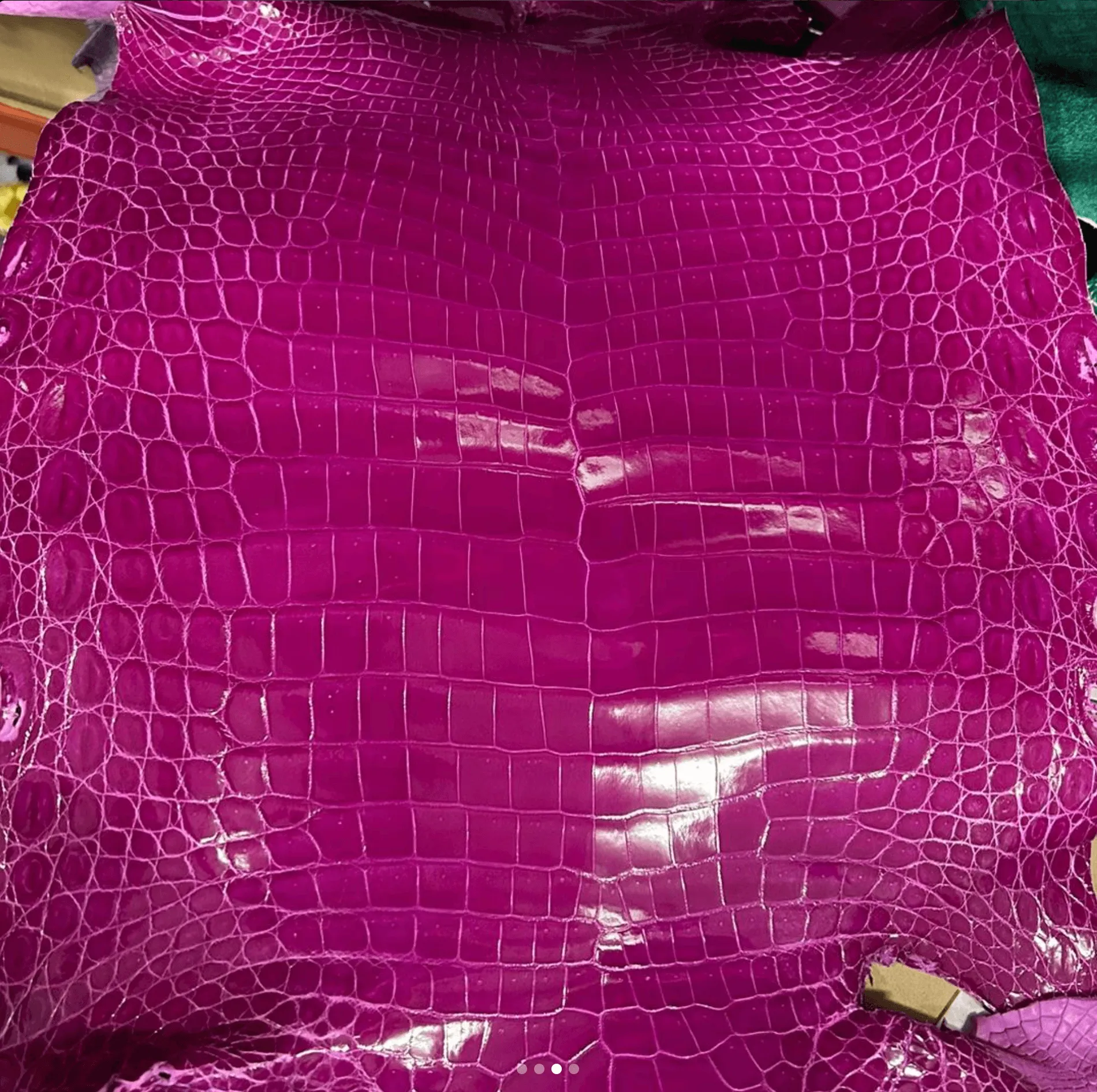 Glazed Shiny Porosus
