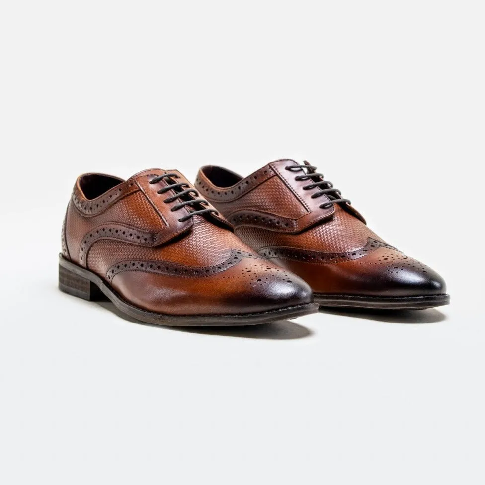 HOUSE OF CAVANI Orleans Brogues Shoe - TAN Browns