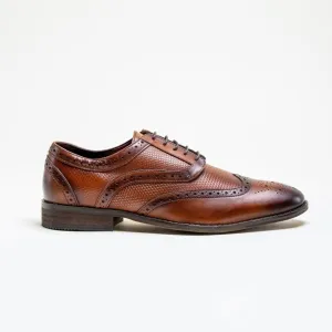 HOUSE OF CAVANI Orleans Brogues Shoe - TAN Browns