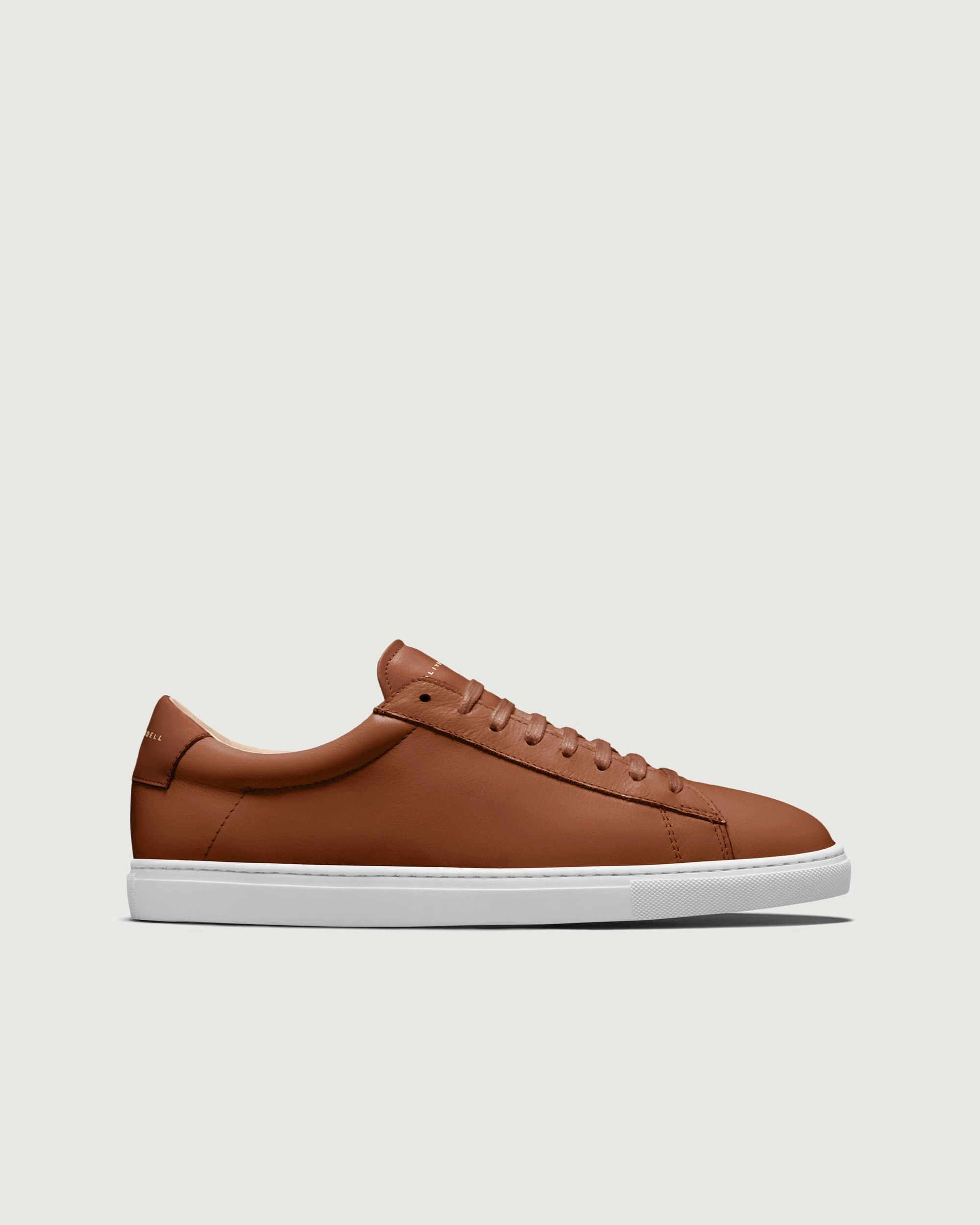 Low 1 | Lion (Orthopedic) Performance Oriented Easy To Clean