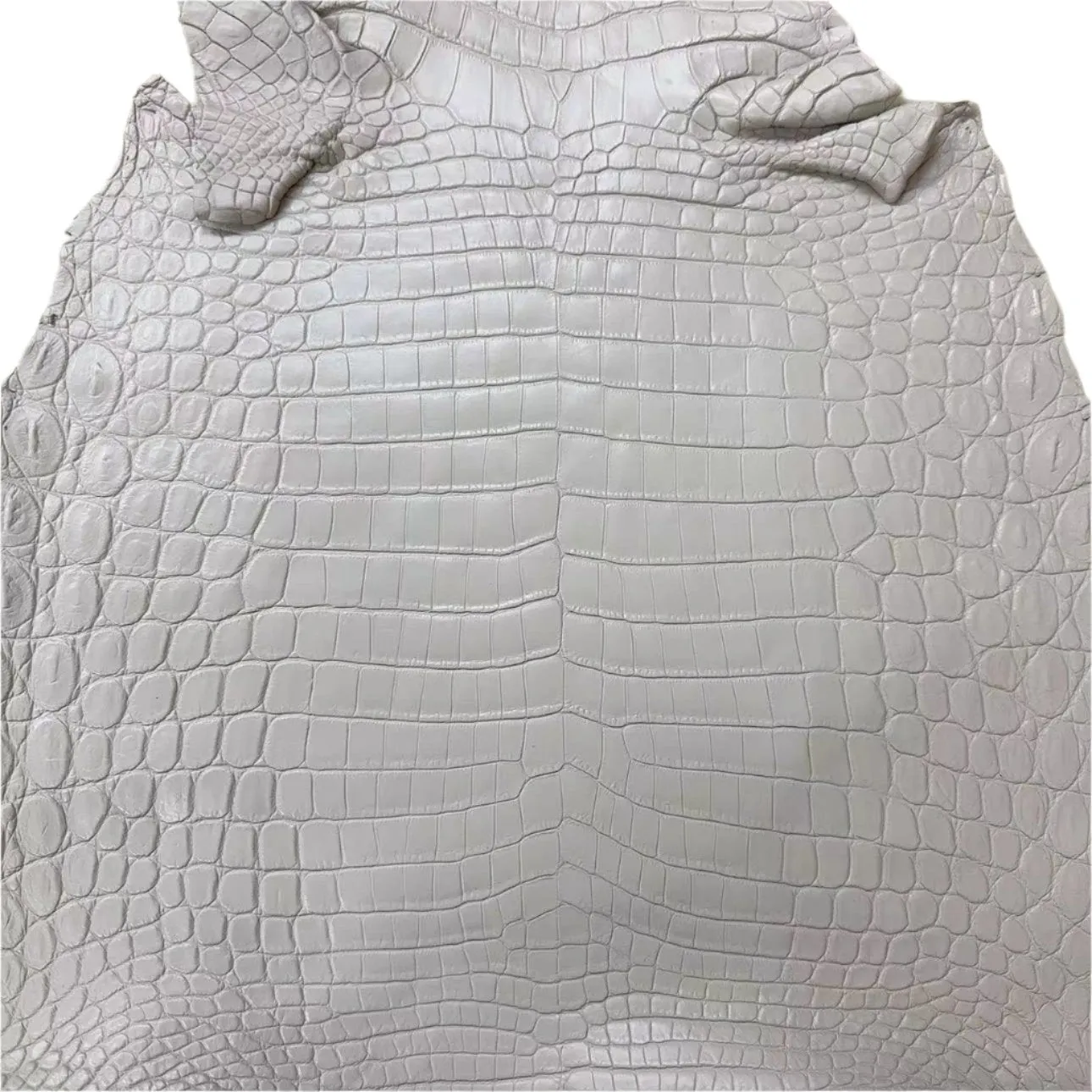 Matte Alligator (New)