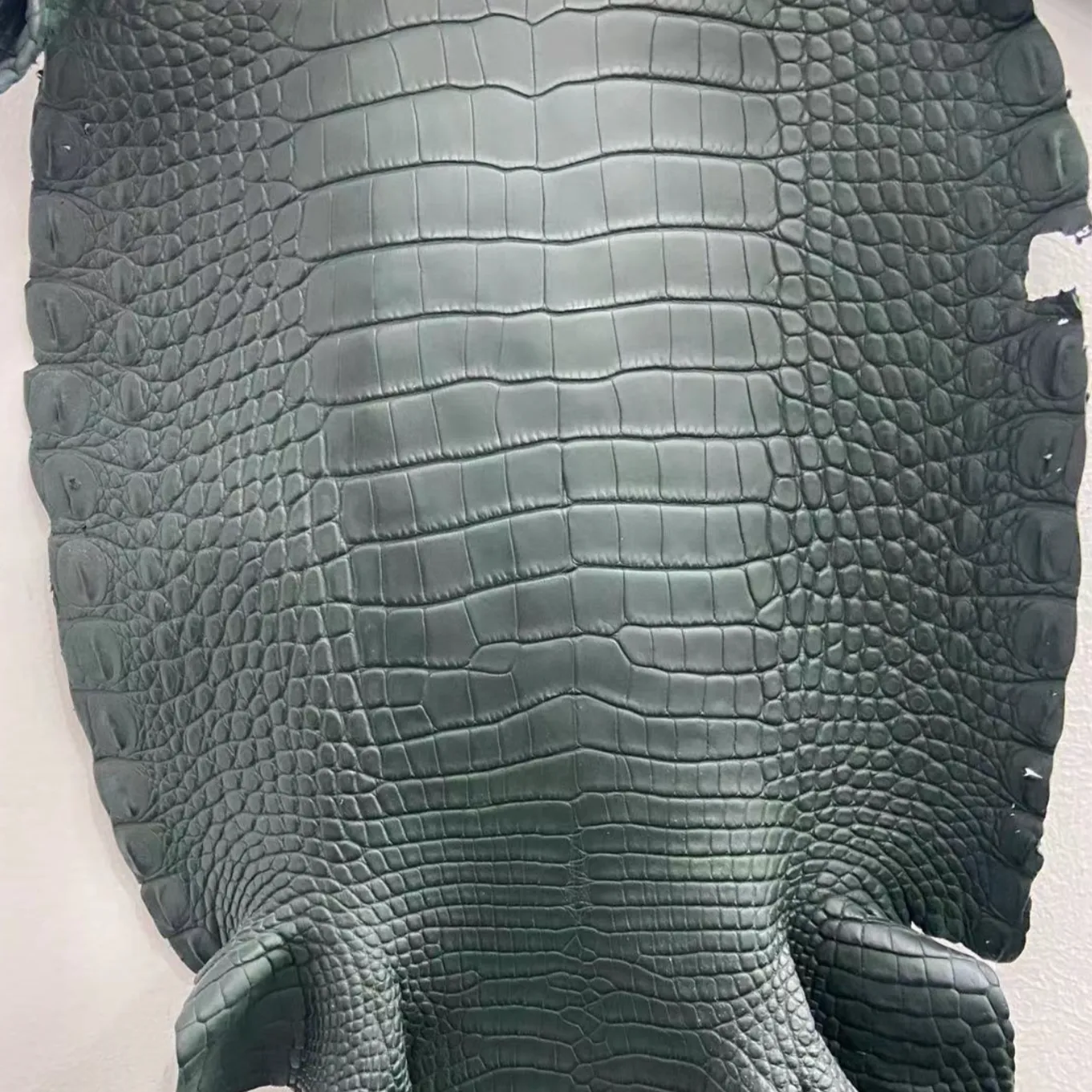 Matte Alligator (New)