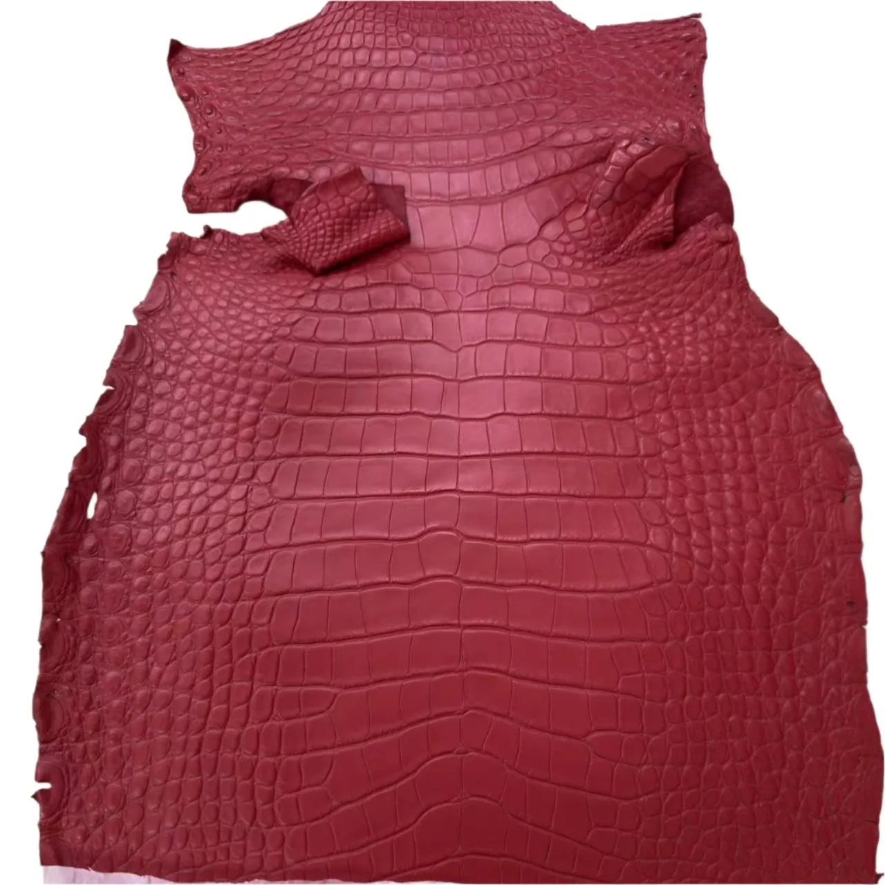 Matte Alligator (New)