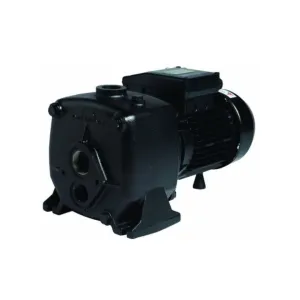 Pumpmaster CTA300 2.2kw Cast Iron Quick Plug Deep Well Jet Pump