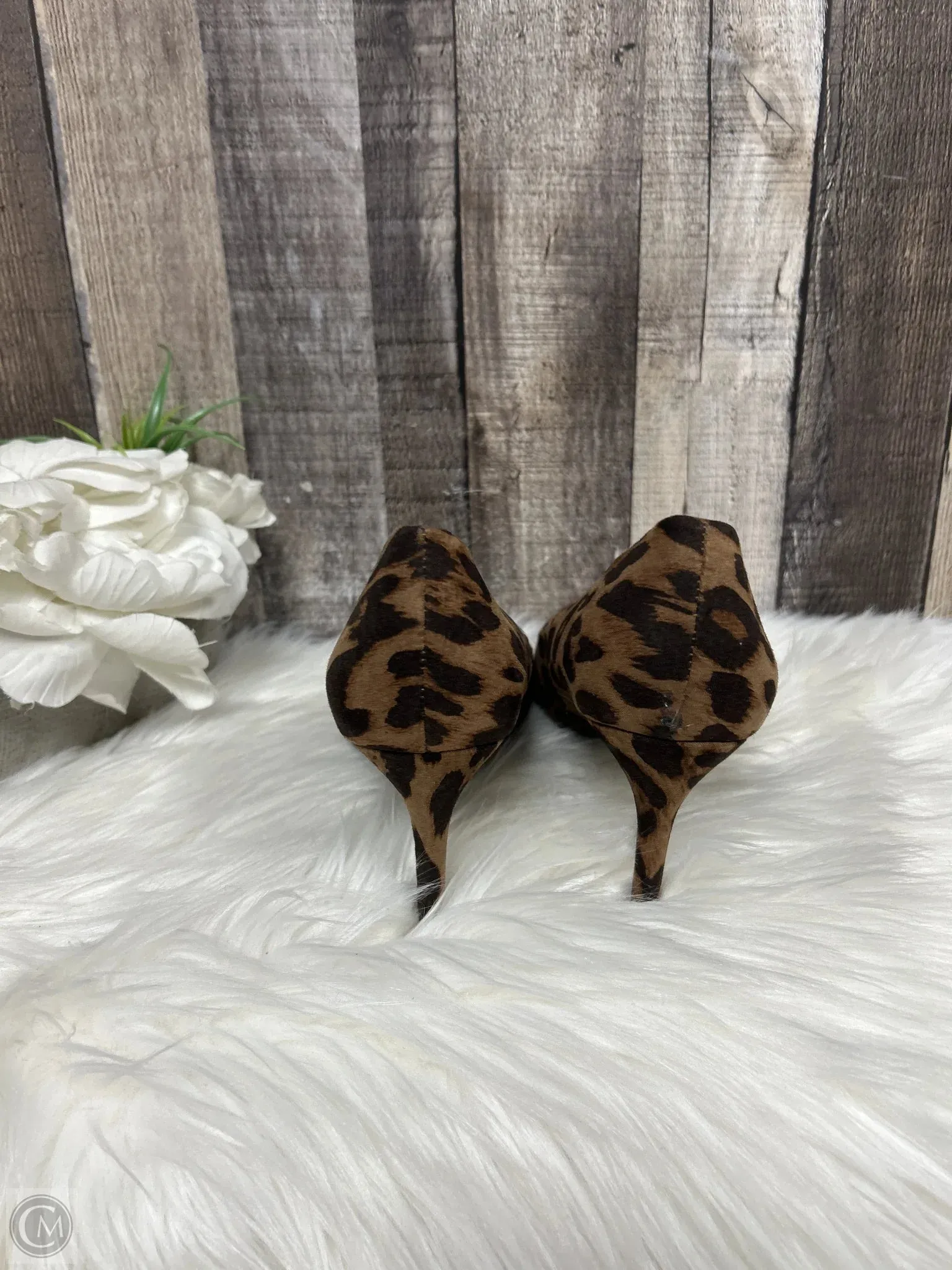 Shoes Heels Stiletto By A New Day In Animal Print, Size: 8.5