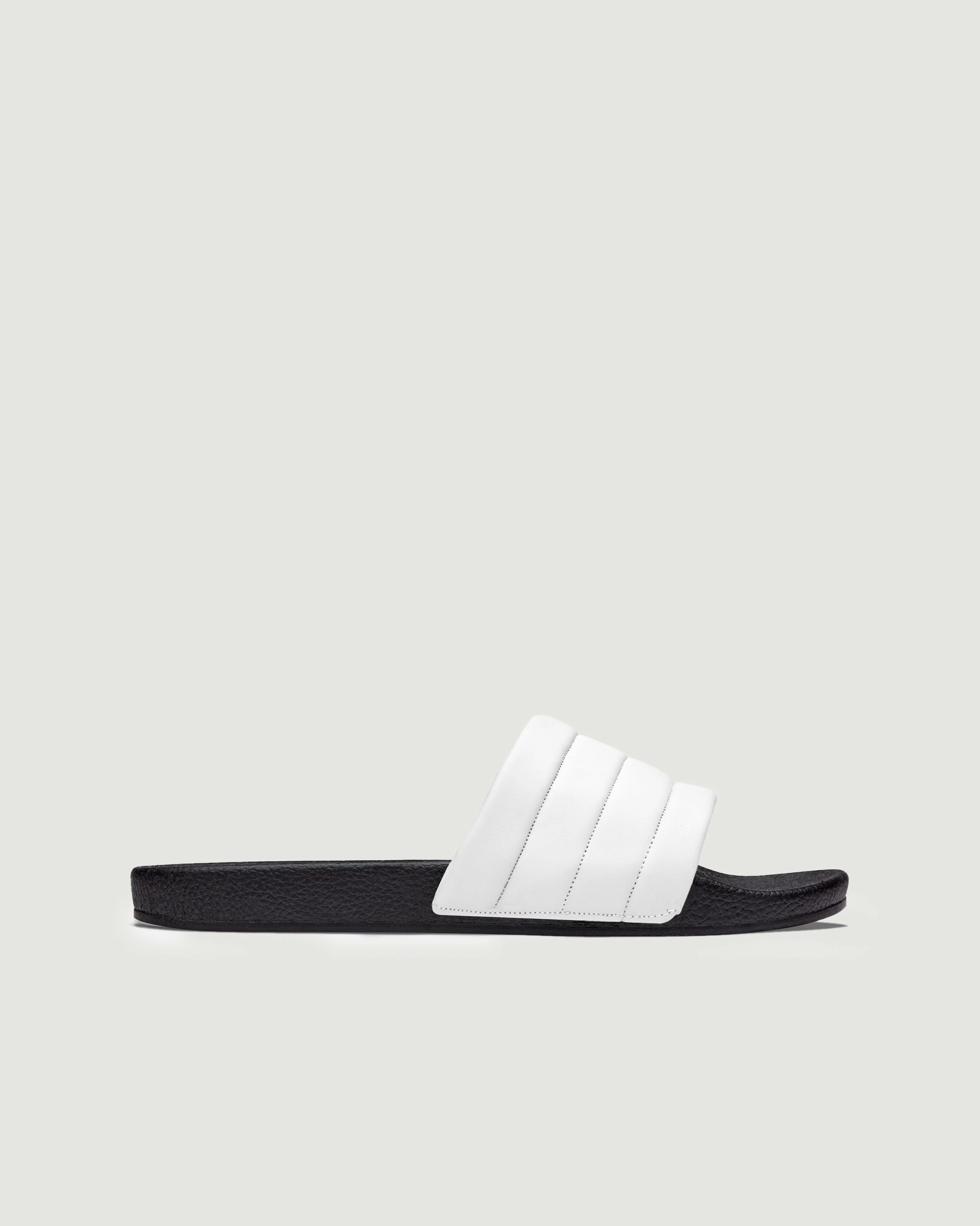 Vegan Slides | White Balance Tech