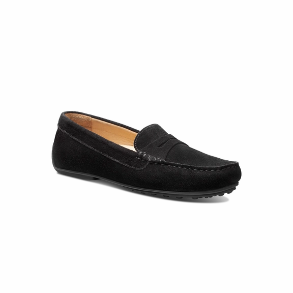 Summer - essential WOMEN 'S FREE SPIRIT - Black| Samuel Hubbard